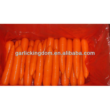 Venta de zanahoria Fujian de Jining Brother